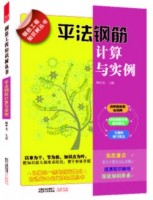 平法鋼筋計算與實例