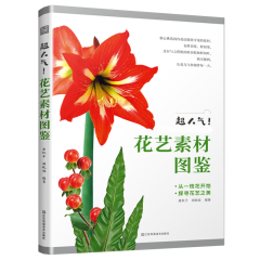 超人氣！花藝素材圖鑒